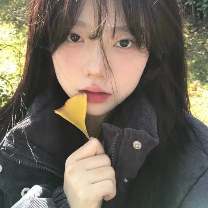 艾米丽在巴黎第四季