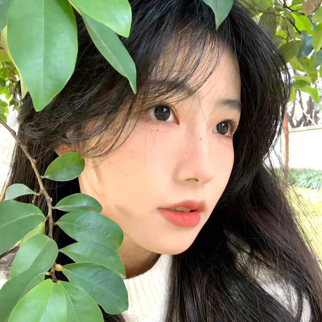 弗兰基与爱丽丝